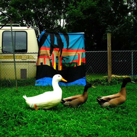 Boho Bathroom Wall Décor | El Cuyo Mexico Shower Curtain