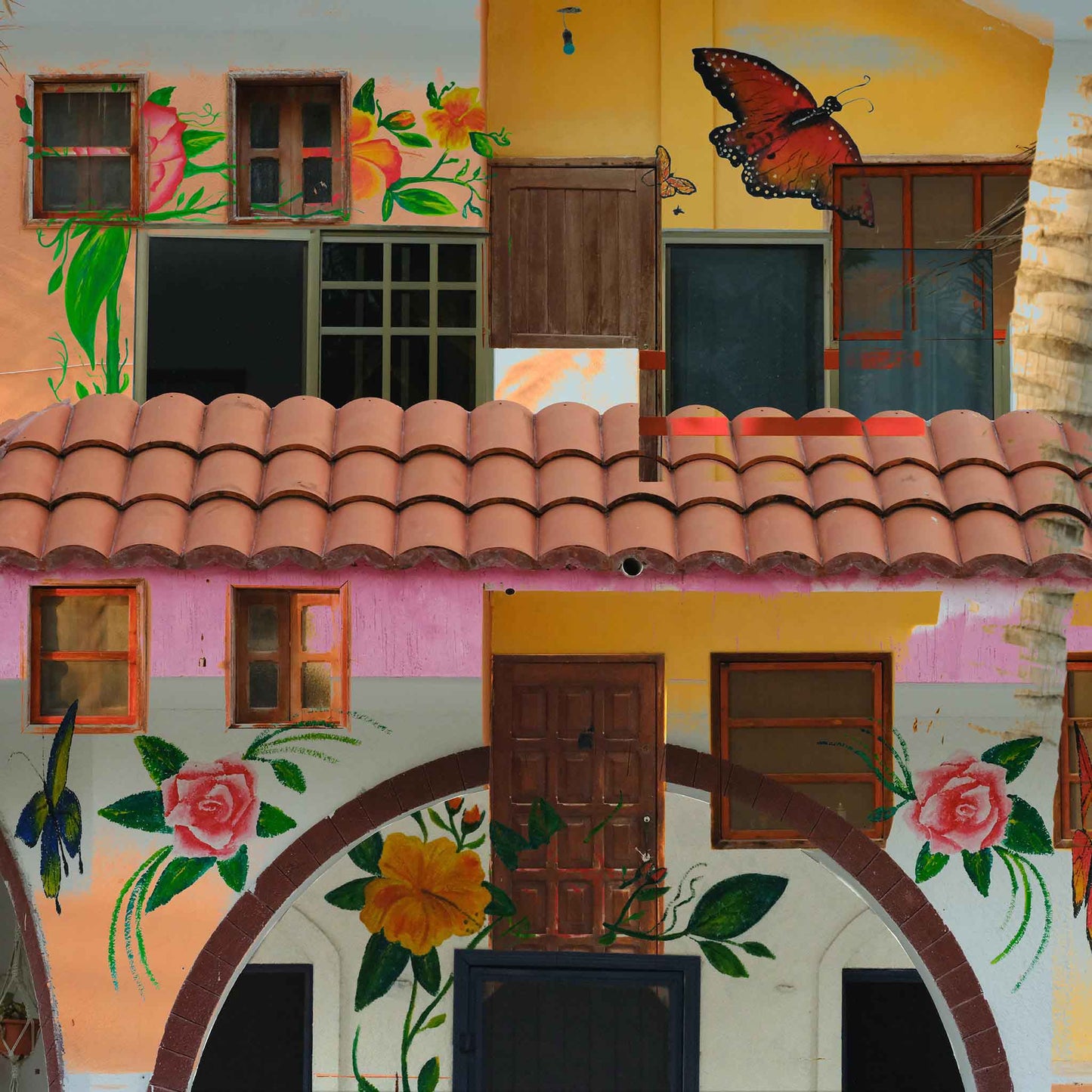 Windows and Doors Shower Curtain