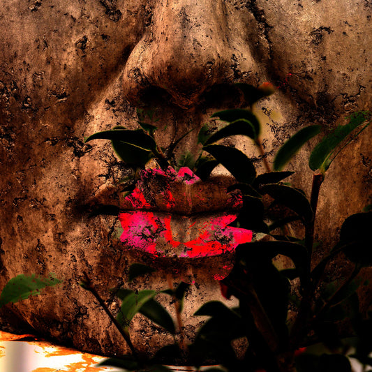 Abstract Art Shower Curtains | Hidden Face Design | Art Shower Curtains