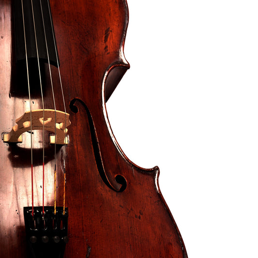 1860 German Shop Cello Shower Curtain (left)