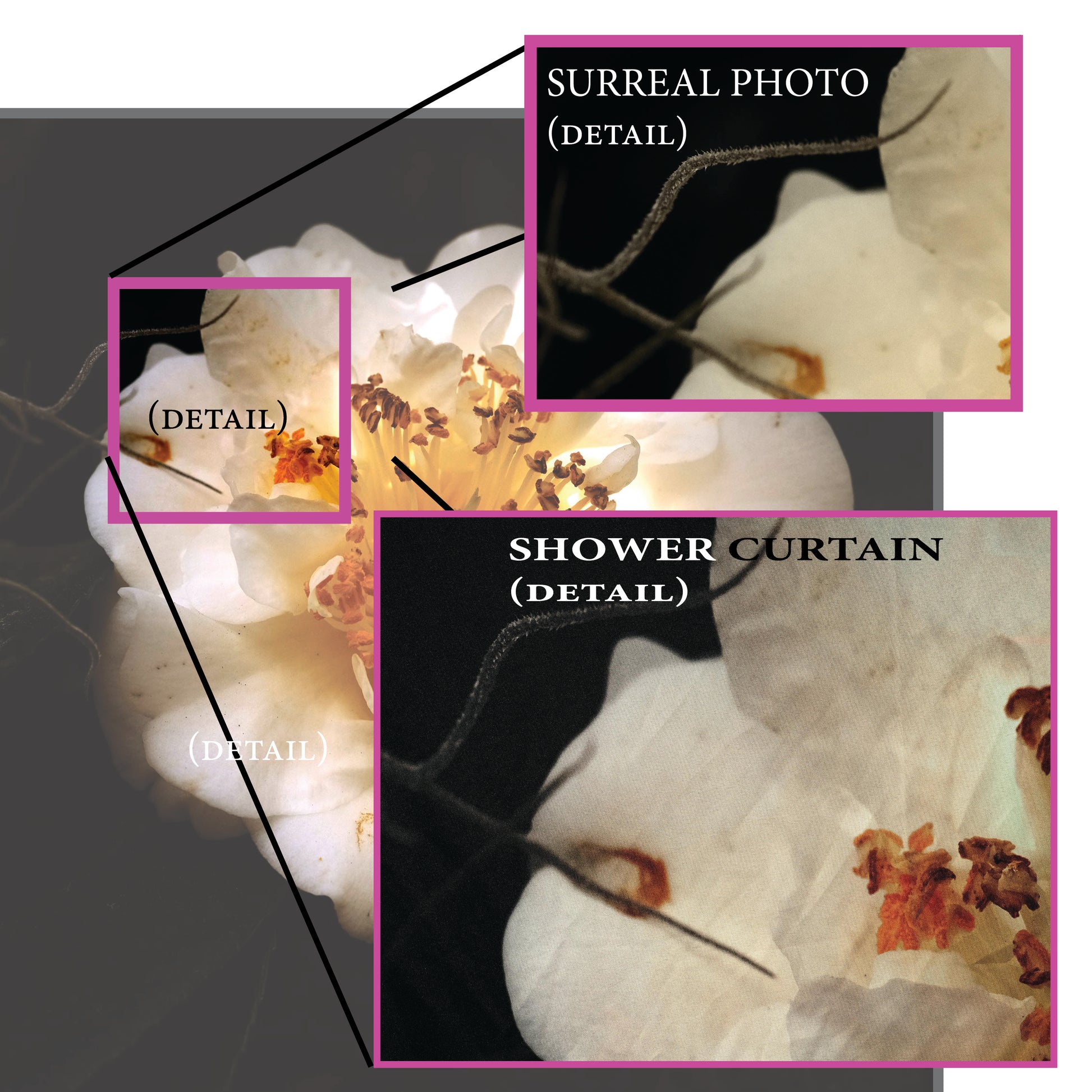 the info graphic shows the ultra hi-resolution printing quality of the shower curtian. It compares an enlarged section of the side by side with the original digital image and the actual shower curtain. 
